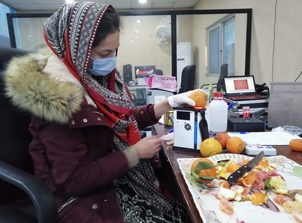 PAK Scientists Develop AI Method to Determine Citrus Fruit Sweetness PAK Scientists Develop AI Method to Determine Citrus Fruit Sweetness