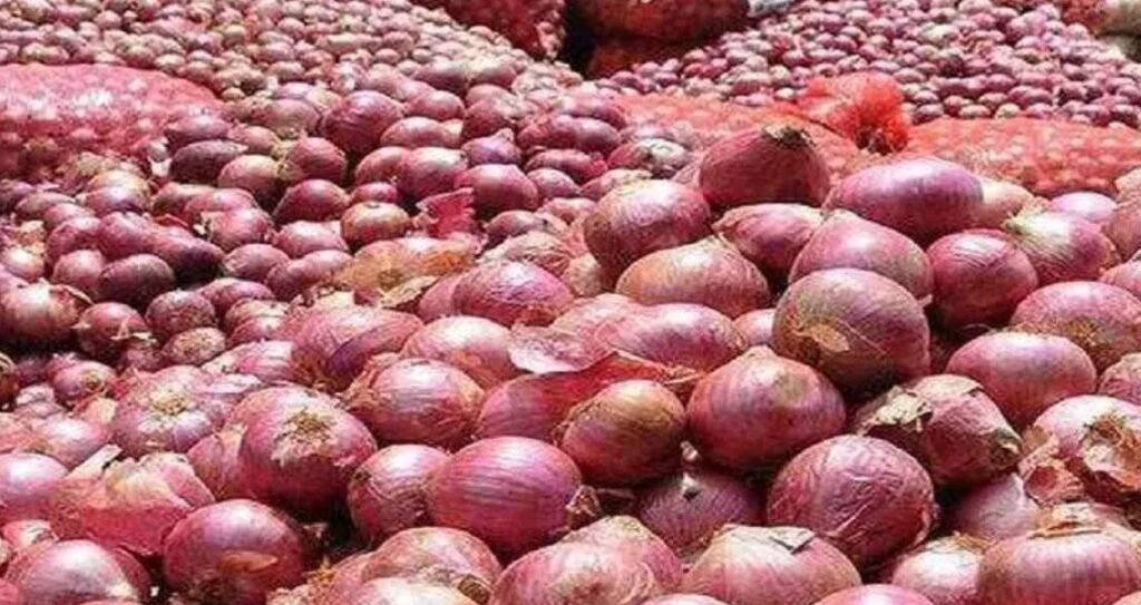 Soaring Onion Exports Cause Price Surge for Pakistani Consumers