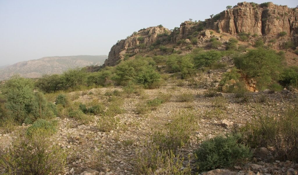 Tharparkar The Only Fertile Desert of World Faces Water Challenges Tharparkar The Only Fertile Desert of World Faces Water Challenges