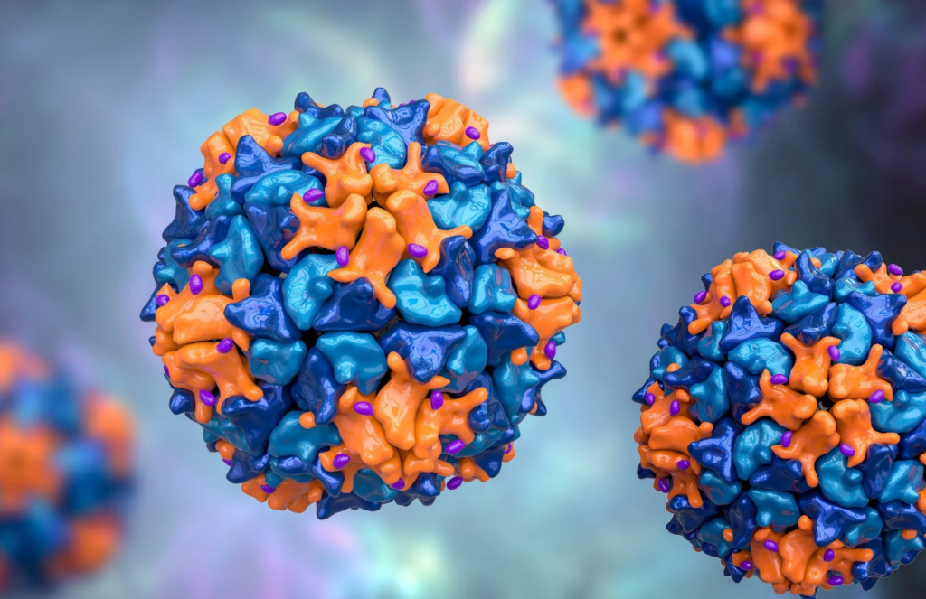 Poliovirus Detected in Sewage Samples of Karachi and Peshawar Poliovirus Detected