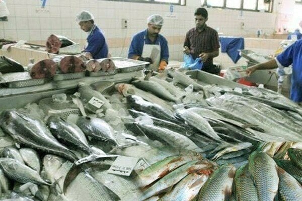 Pakistan’s Fish Exports Hit Record $0.57 Billion