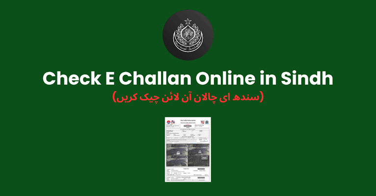 How to check Sindh traffic e-challan online