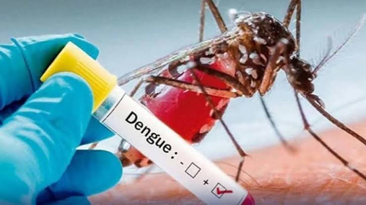Pakistan Health News Today: 6th Polio Case, Dengue Cases Rise