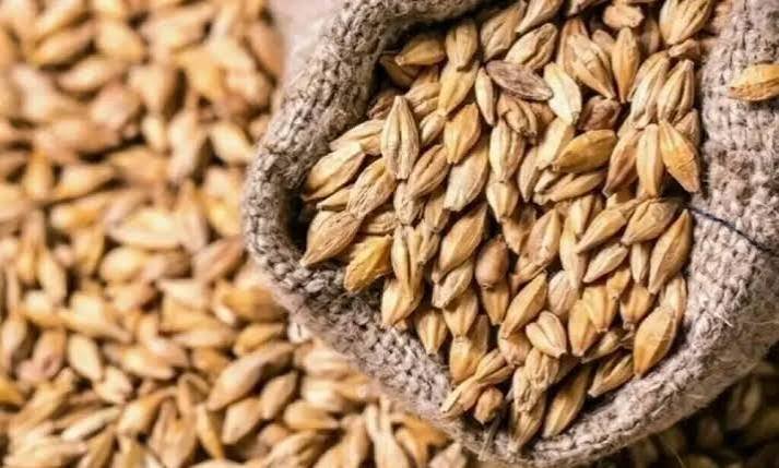 PM Sets Wheat Support Price at Rs4,500 Per Maund
